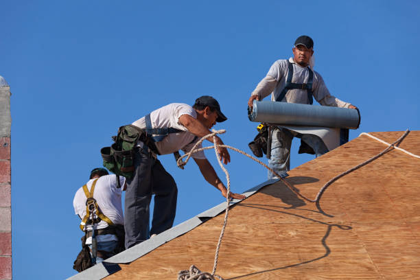 Best Flat Roof Repair Services  in Rainbow Springs, FL