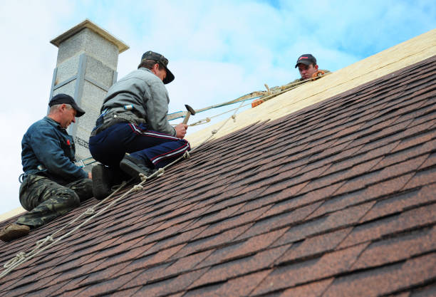 Roof Installation Near Me in Rainbow Springs, FL